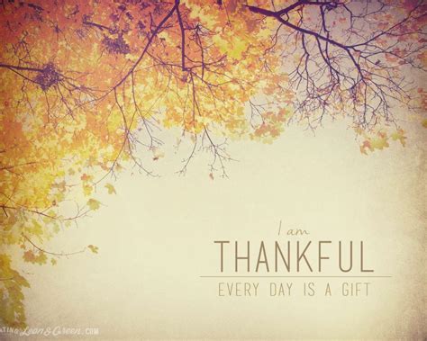 Grateful Wallpapers - Top Free Grateful Backgrounds - WallpaperAccess