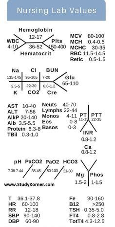 15 Nursing cheat sheet ideas | nursing school tips, nursing study ...