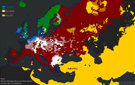 Map of Y haplogroup R1a subclades (male lineages) simplified : r/MapPorn