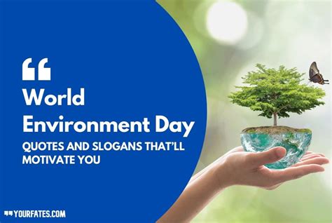 70 World Environment Day Quotes And Slogans - 2024