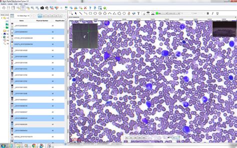 Digital Microscope Slide Scanner - Motic Easy Scan Infinity