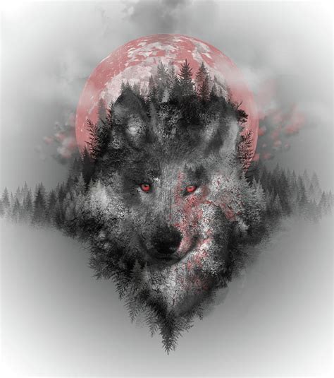 Wolf Digital Art by Bekim M