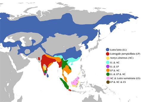 Otters of the World maps | IUCN SSC Otter Specialist Group