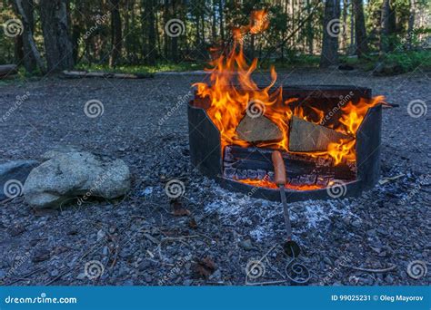 Campfire and Firewood at Camping Site in the Forest British Columbia Canada. Stock Image - Image ...