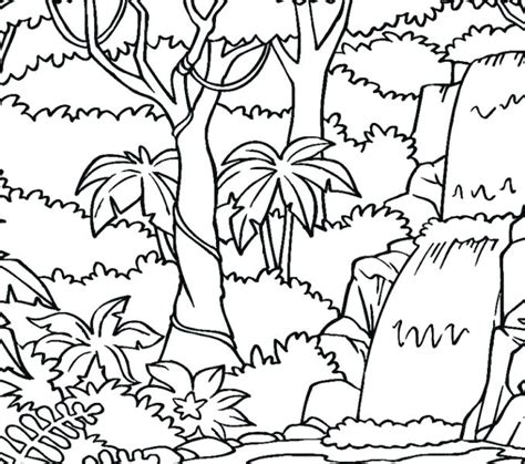 Rainforest Trees Coloring Pages at GetColorings.com | Free printable colorings pages to print ...