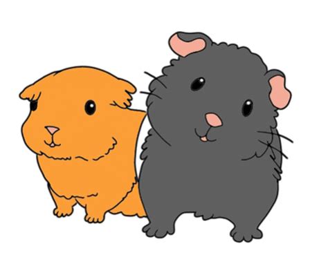 Guineapigs GIFs - Get the best GIF on GIPHY