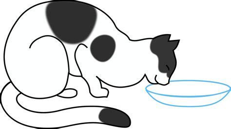 Clipart - white cat drinking
