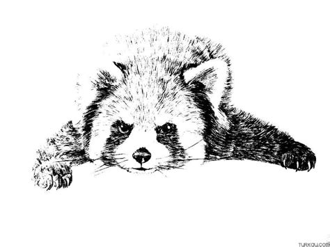 Nature Panda Coloring Page For Adults » Turkau