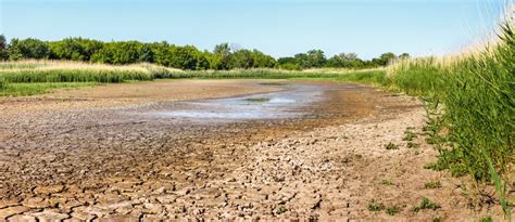 Advanced Forecasting Methods for Better Drought Prediction in a Changing Climate