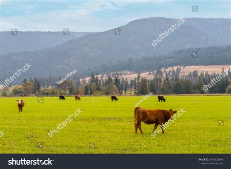 4,817 Agriculture In British Columbia Images, Stock Photos & Vectors ...