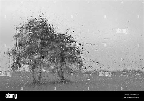 Landscape with two trees seen through car window in rain, Mazovia Region, Poland Stock Photo - Alamy