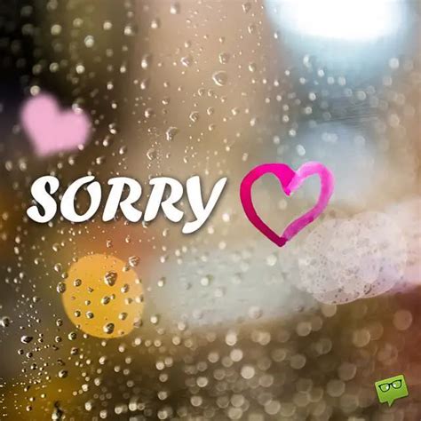 I’m Sorry Quotes | All Apologies