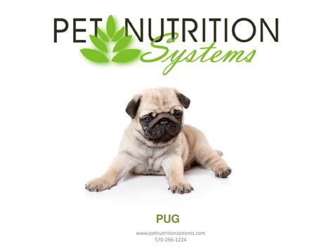 PUG Breed Specific Diet Plan by Pet Nutrition Systems - Issuu