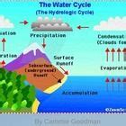 Water Cycle UNIT PowerPoint and Interactive Notes 4th Grade Science ...