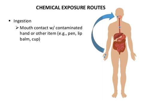 Signs and Symptoms of Chemical Exposure -- CSUEB