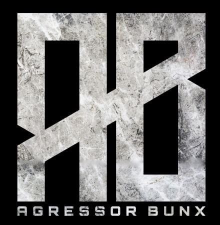 Agressor Bunx Drum n Bass Samples Patreon Pack Vol.1-10 WAV