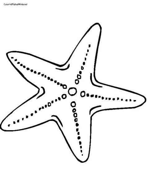 Starfish Coloring Pages Printable – Thekidsworksheet