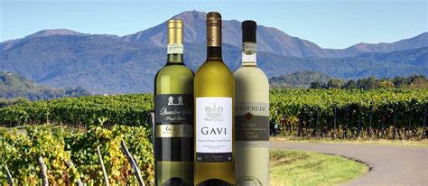 Gavi | Local Wine Appellation From Province of Alessandria, Italy