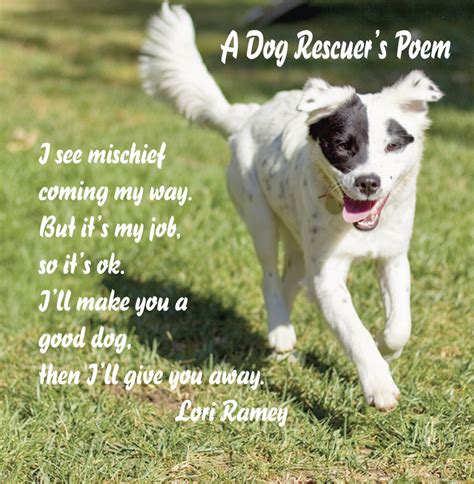 Rescue Dog Poems And Quotes. QuotesGram