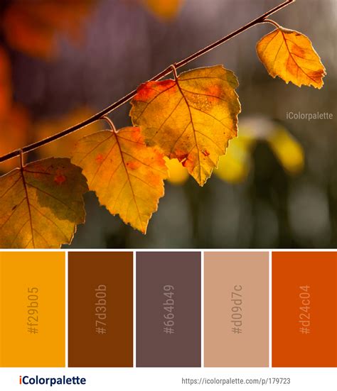 Autumn Color Palette Color Palette Ideas - vrogue.co