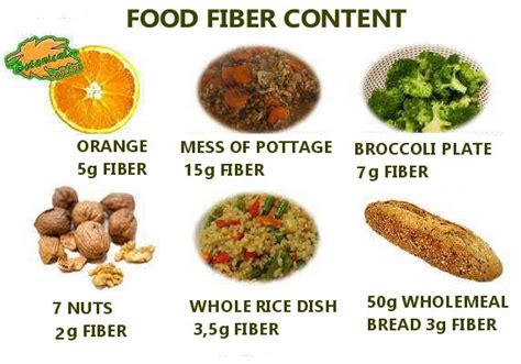 Foods rich in fiber – Botanical online