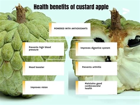 13 Amazing Health Benefits Of Custard Apple - Health & Healthier