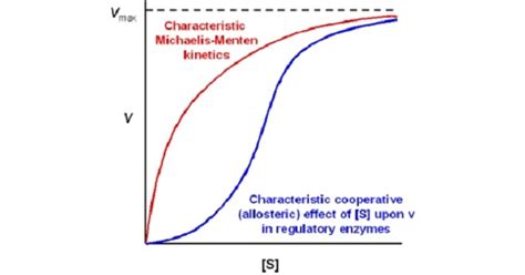 Regulation Of Enzyme - www.medicoapps.org