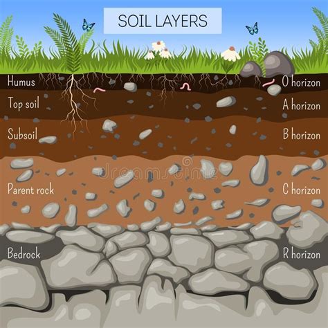 Soil layers – Artofit