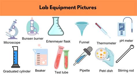 List of Lab Equipment Names and Pictures | PDF - GrammarVocab | Lab equipment, Chemistry lab ...