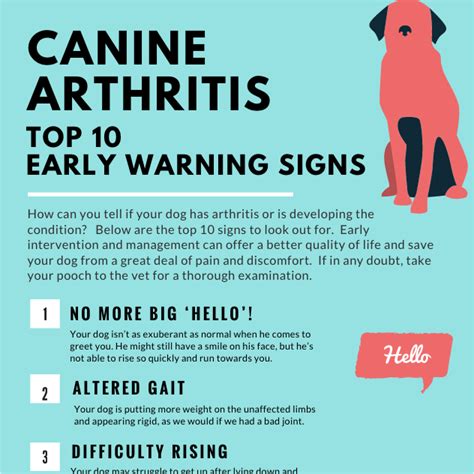 Infographic - Canine Arthritis Top 10 Early Warning Signs - AIM OA Sys