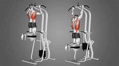 Assisted Pull-Up (Band and Machine): Benefits, Muscles Worked, and More - Inspire US