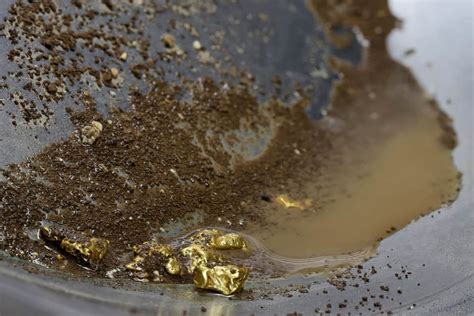 What is Placer Gold? History, Value & Where to Find