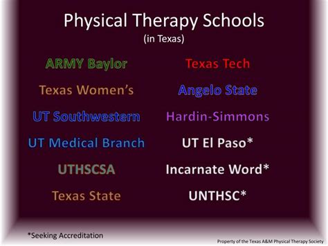 PPT - Physical Therapy Schools (in Texas) PowerPoint Presentation, free download - ID:2332901