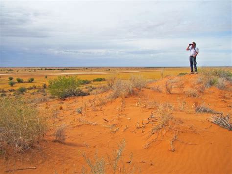 Diamantina National Park | Parks and forests | Department of Environment, Science and Innovation ...