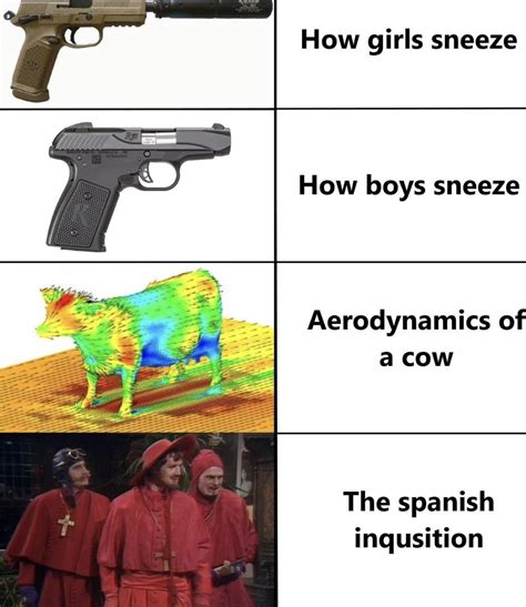 The Spanish Inquisition : r/meme