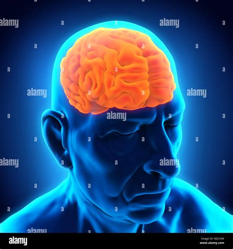 Epilepsy hi-res stock photography and images - Alamy