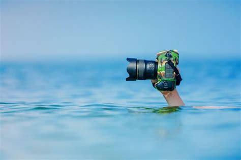 Best Wildlife Photography Tips For Beginners - Camera Wall