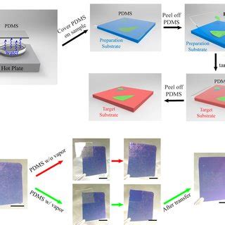 Capillary force model analysis and experimental measurement. (a ...