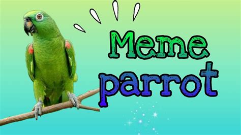 Parrot meme dancing! - YouTube