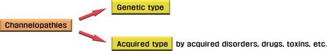 Two main types of channelopathies. | Download Scientific Diagram