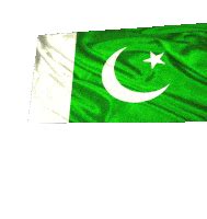 Pakistan Flag Pakistani Flag GIF - PakistanFlag PakistaniFlag ...