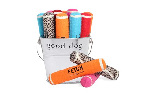 Go Fetch! If those two words couldn't make your pup any happier, we have the perfect toy for you ...