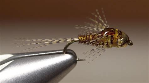 SBR Sulphur Nymph | Fly tying, Nymph fly patterns, Nymph