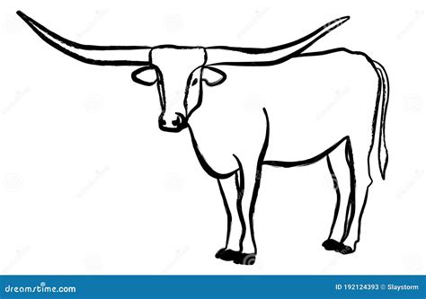 Texas Longhorn Bull, Cattle Icon, on White Background Stock Vector ...