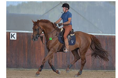 Show Jumping | The Horse Magazine | Page 3