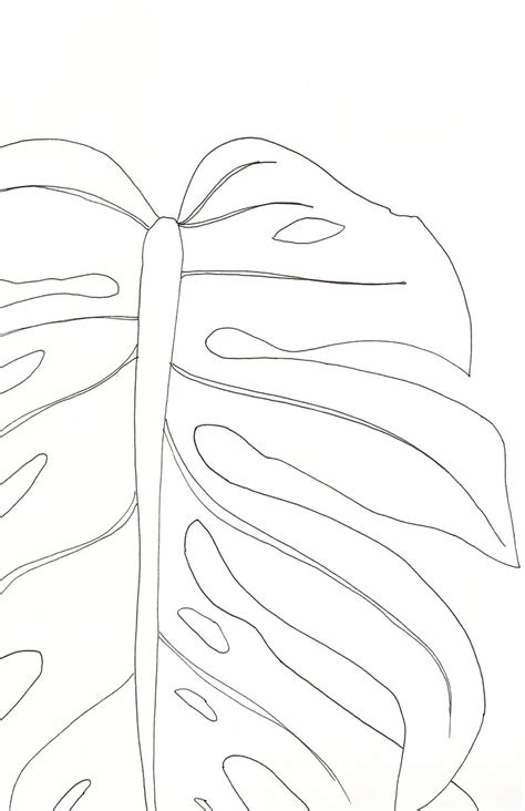 Elephant Ears Drawing at GetDrawings | Free download