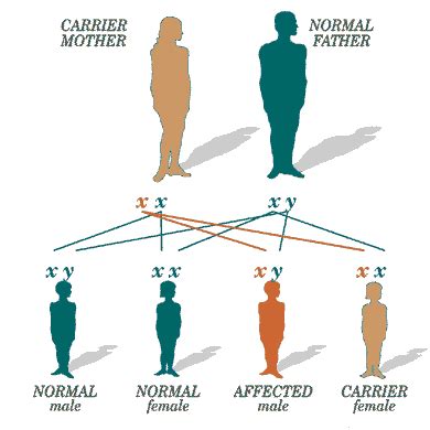 Genetic Mutations & Gene Therapy