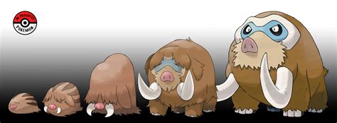 Piloswine Evolution