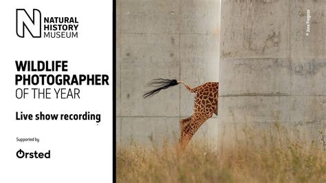 Behind the Lens: Live from the Wildlife Photographer of the Year Exhibition | Natural History ...