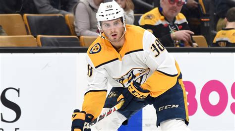 Nashville Predators: Ryan Hartman fined for spearing Chris Wagner ...